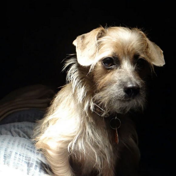 Meet your Posher, Vanessa - Picture 1 of 1